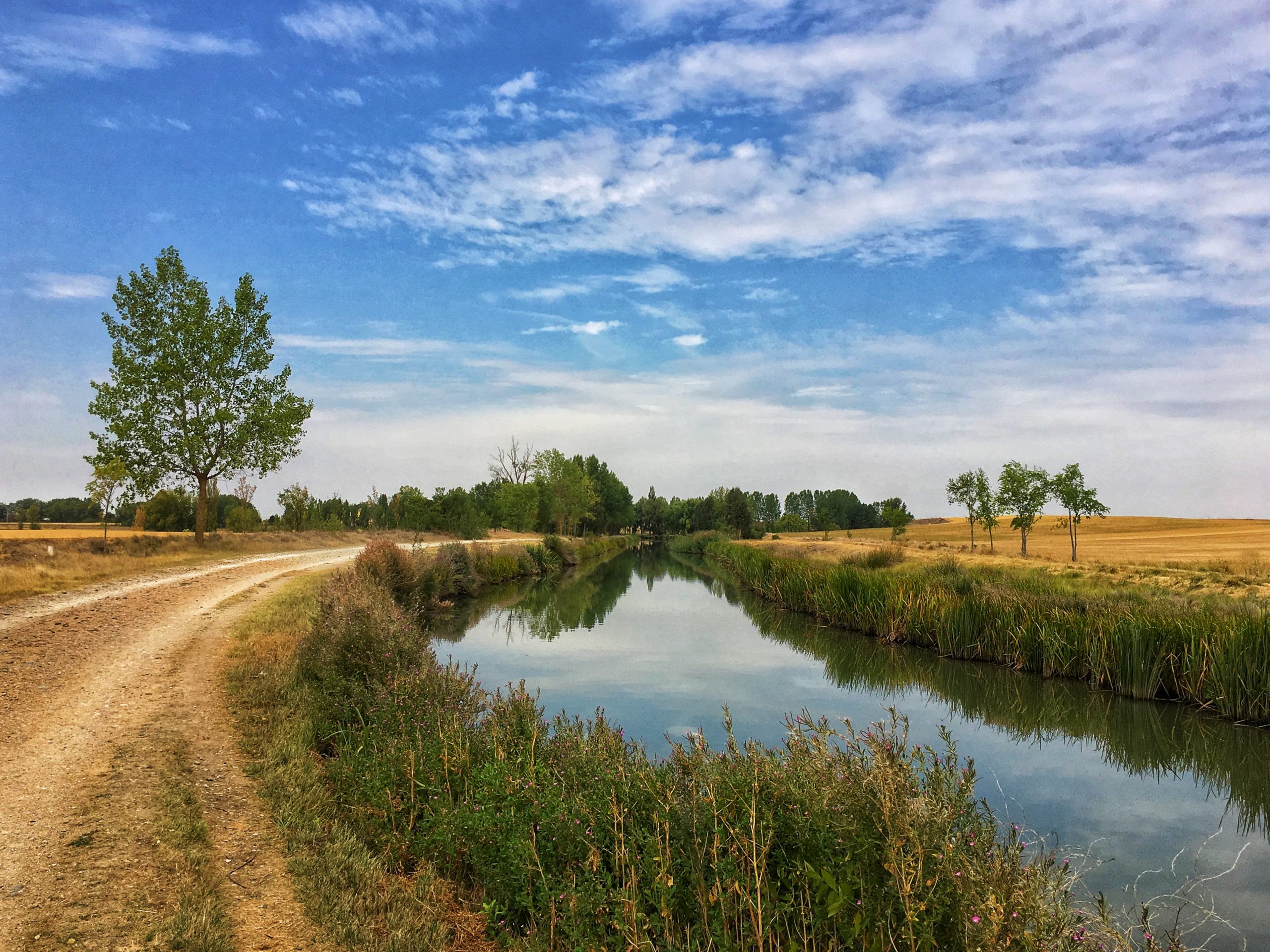 IT’S TRUE! THE RAIN IN SPAIN LIES MAINLY ON THE PLAIN!