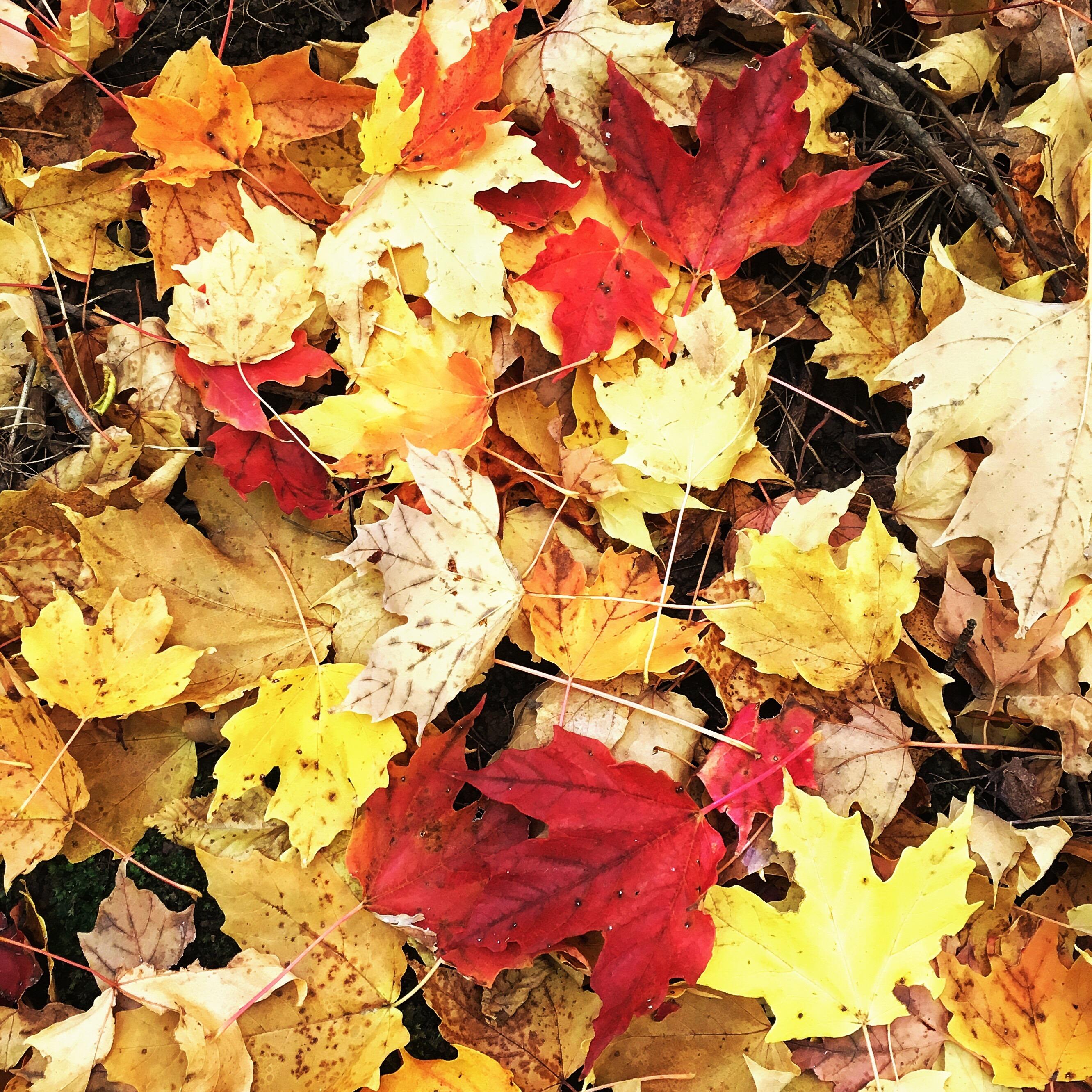 You Can Take the Guy Out of a Hike, BUT Can You Take the Hike Out of the Guy?