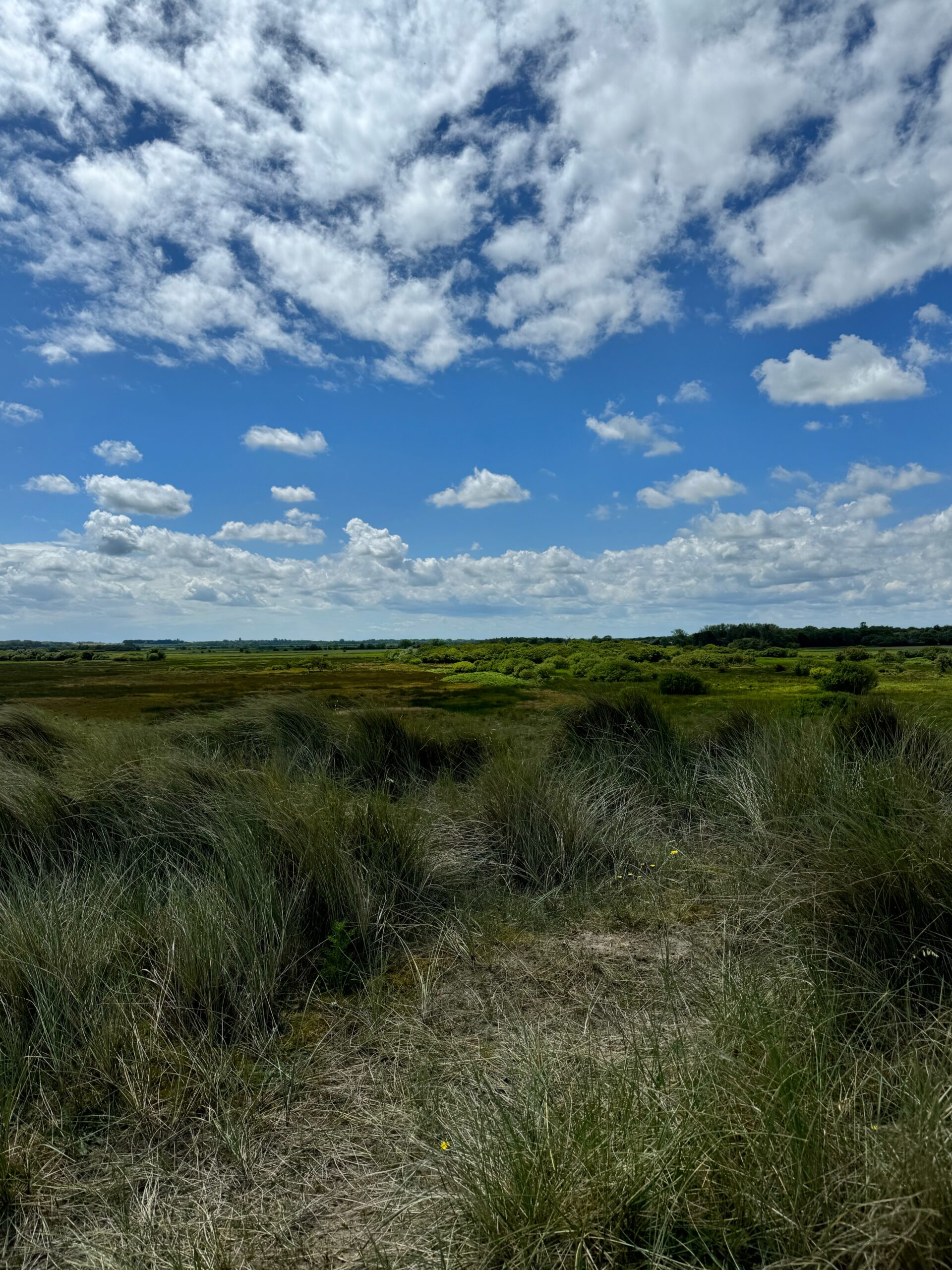 An Amazing Norfolk Day!